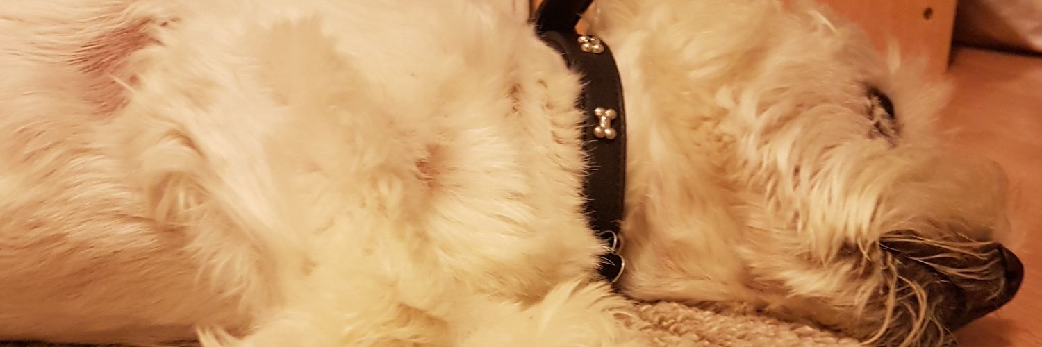 AndyAlexander banner