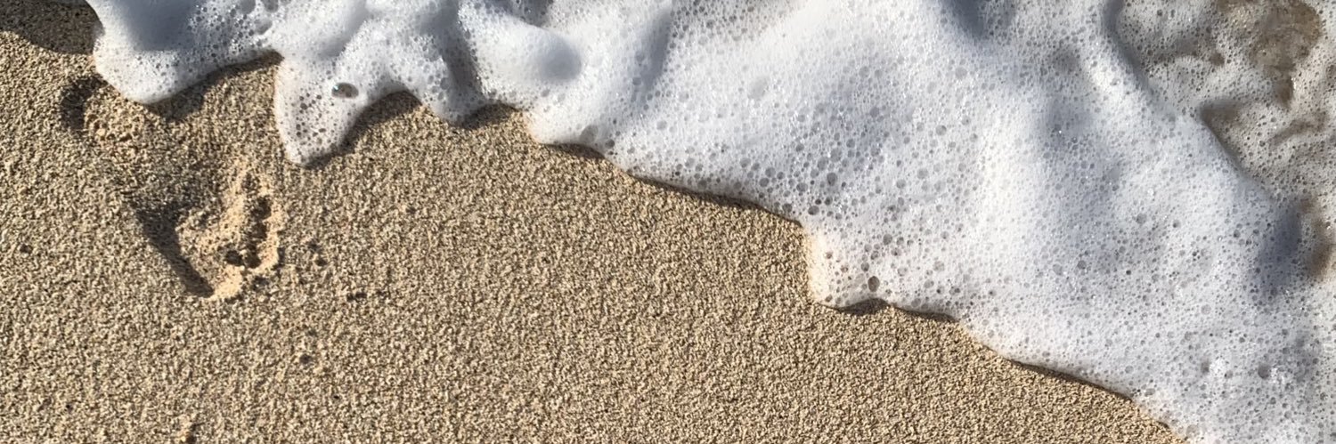 ilovesanmol's profile banner image