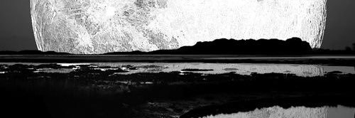 HEALER🕊️ banner