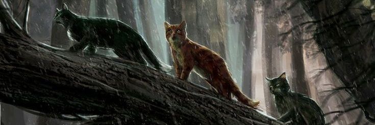 Elliefan1_5's profile banner image