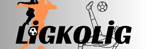 ligkolig's profile banner image