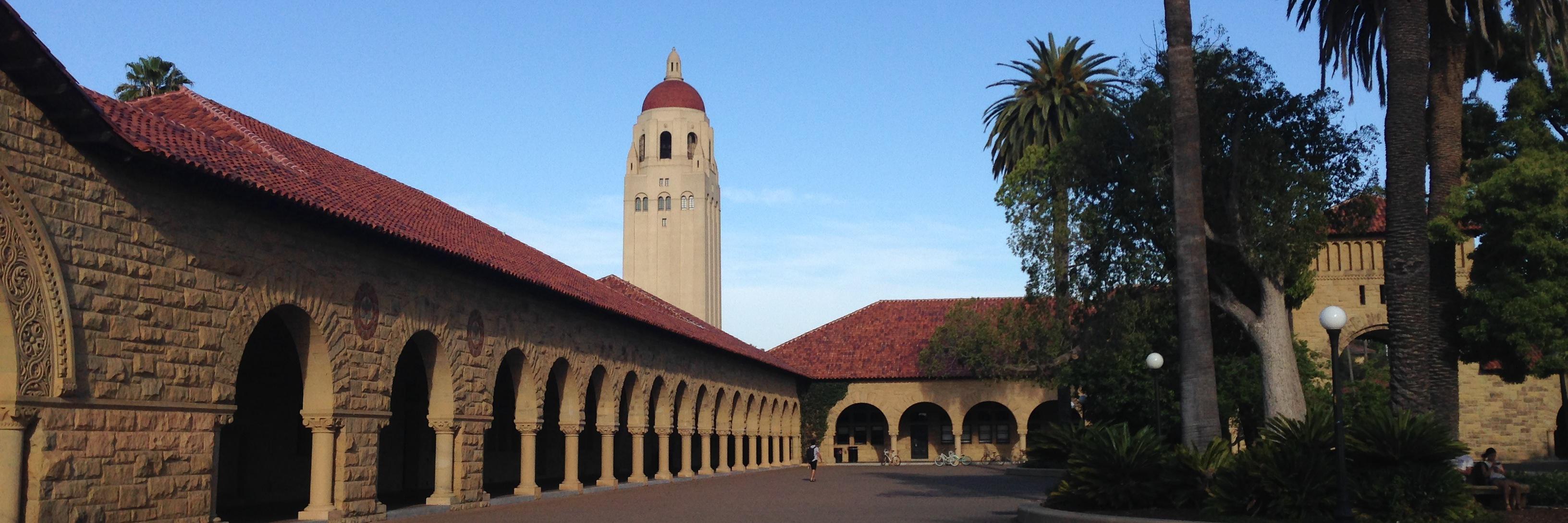 Sonia Fernandez banner