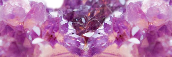 laureldickman's profile banner image