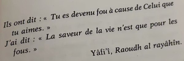 stichomythieS Profile Banner