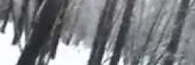 mausim41's profile banner image