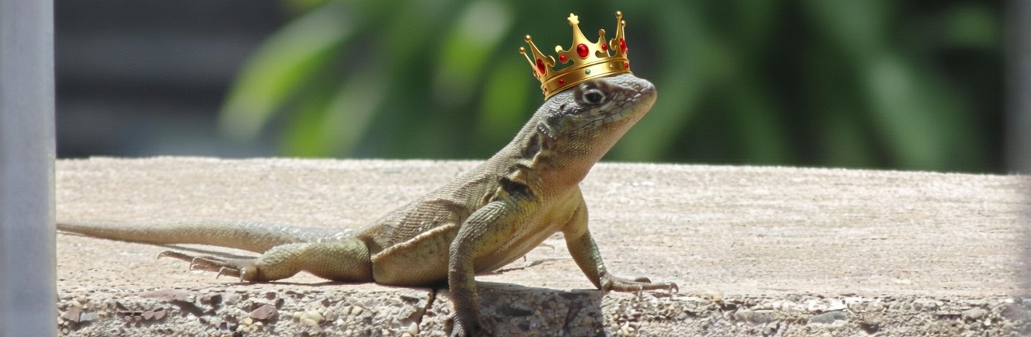 Gastón Martín banner