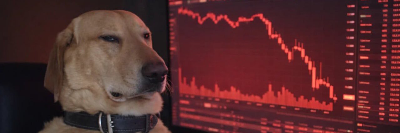 Crypto_bro31's profile banner image