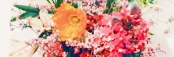umi0088's profile banner image