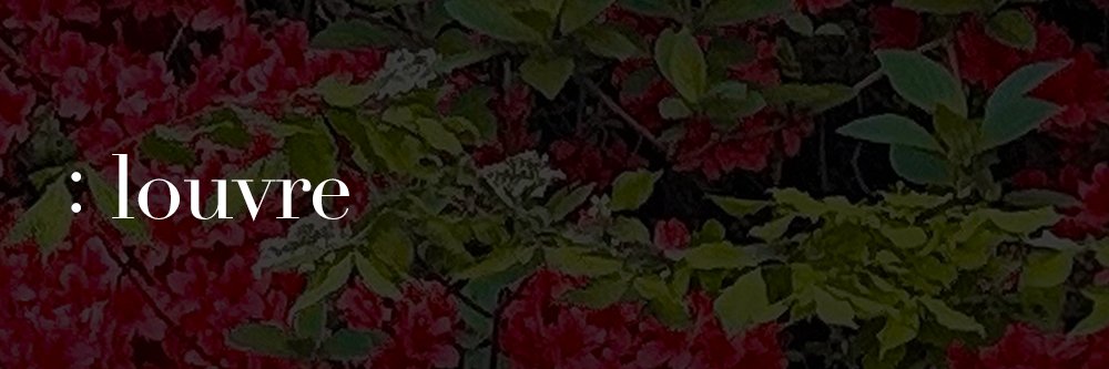 ルーヴル美容外科 banner