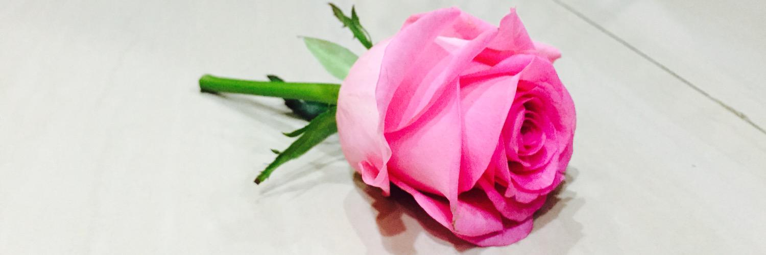 Lynn_Angeline's profile banner image
