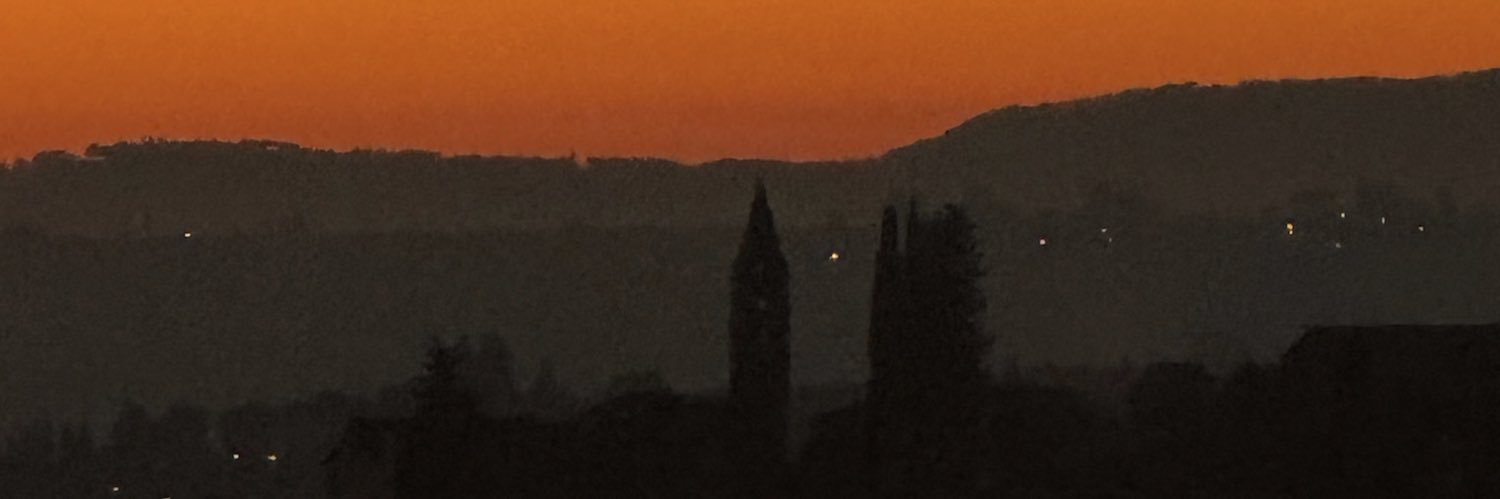 lynettedesimone's profile banner image