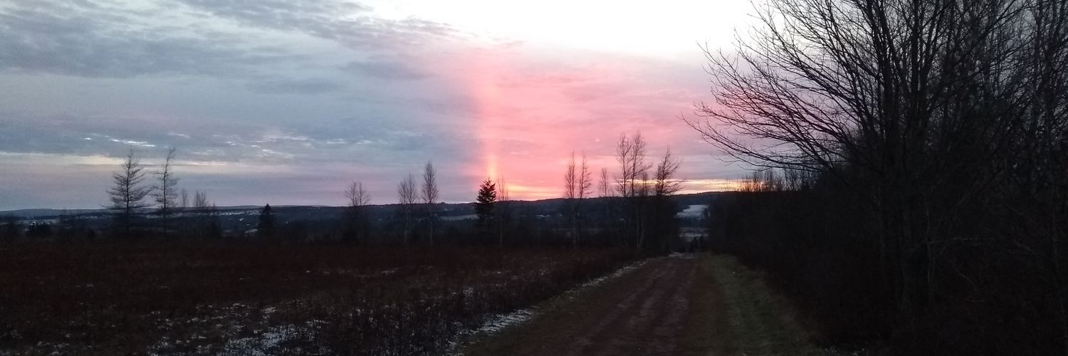 davidbelliveau's profile banner image