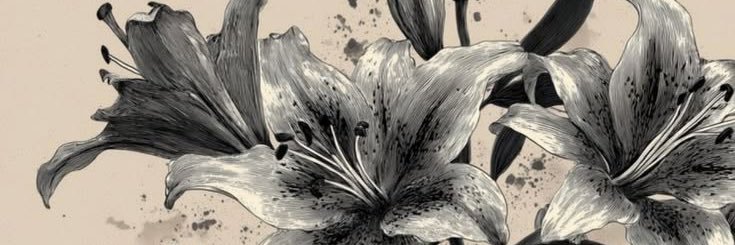 gina banner