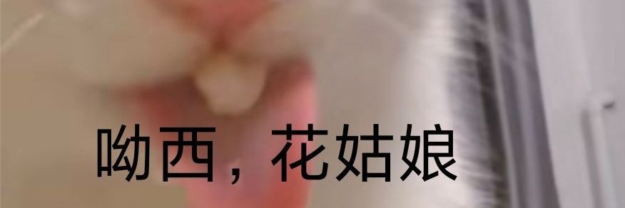 炸裂少妇🥵 banner