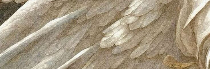 ᴀꜱᴛʀᴏʟᴏɢɪᴀ & ᴛᴀʀᴏᴛ banner