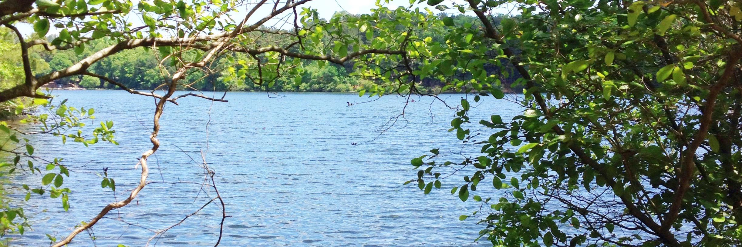 buraellen's profile banner image