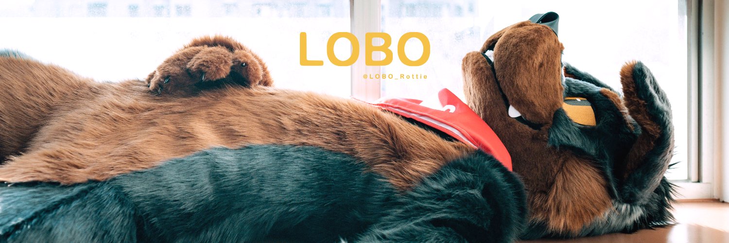 LOBO🐾's banner
