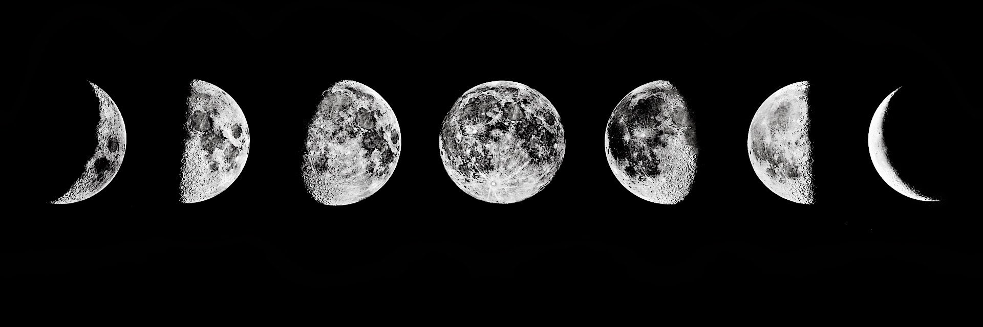debbiemoneill's profile banner image