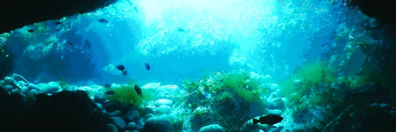 OceanForward's profile banner image
