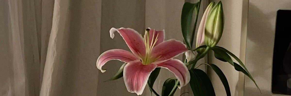 7bwua's profile banner image
