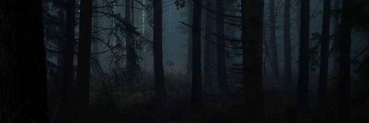 TRAPAFTERDE4TH's profile banner image