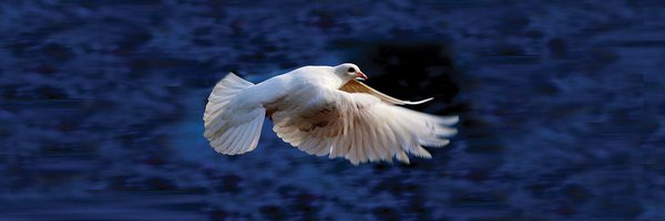 EnablingSkills Profile Banner