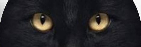 jun25251964's profile banner image