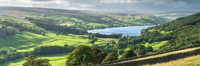 Anglo Saxon Logic banner