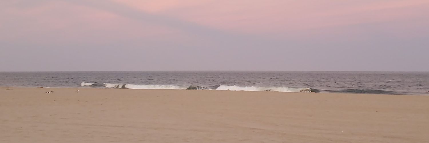 Eric Mace banner