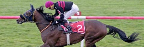 G1 TOROK 🏇 banner