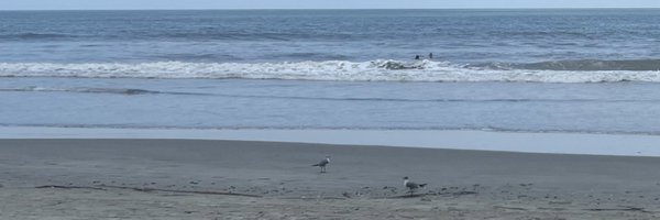 F3GiString Profile Banner