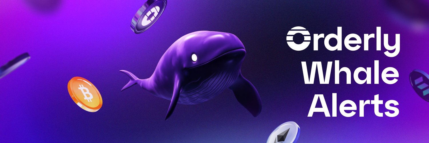 Orderly Whale Alerts's banner