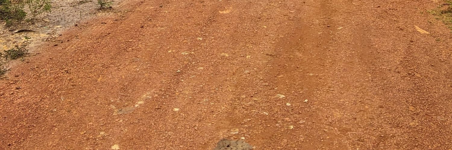 missdoods's profile banner image