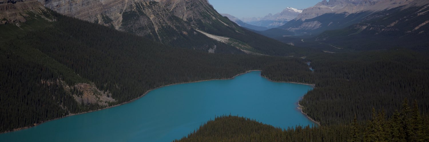 ク 🇨🇦 banner