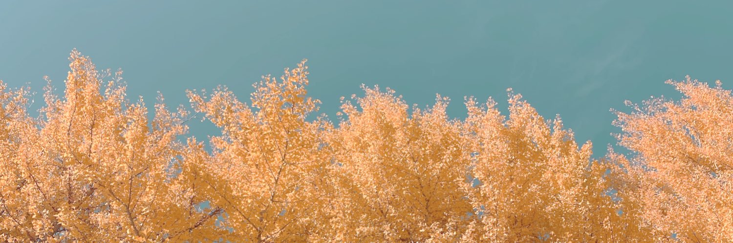 Monodoroooon's profile banner image