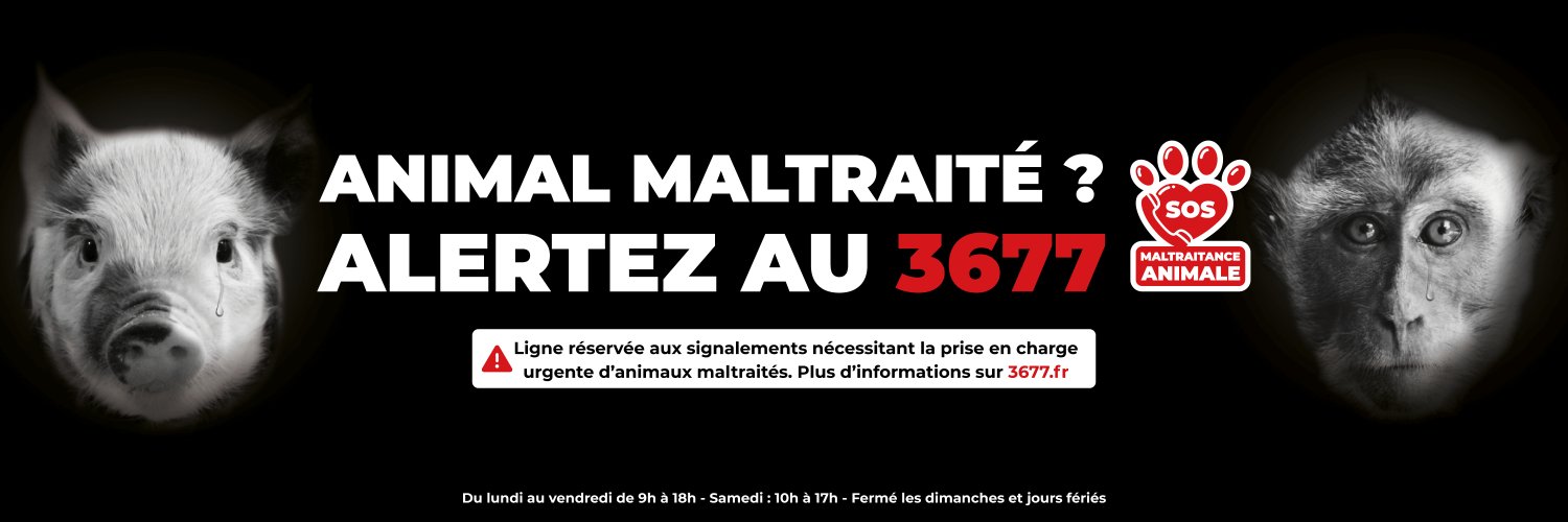 SOS Maltraitance Animale banner