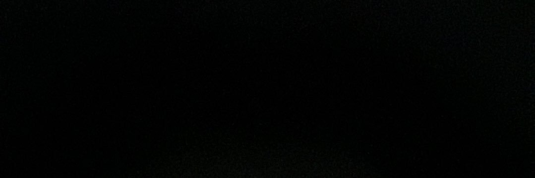 rayne banner