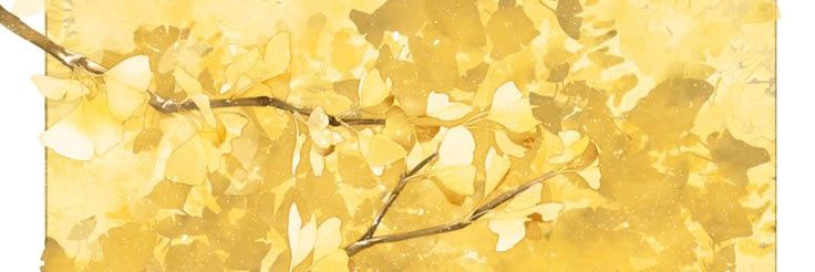 sunnightord's profile banner image