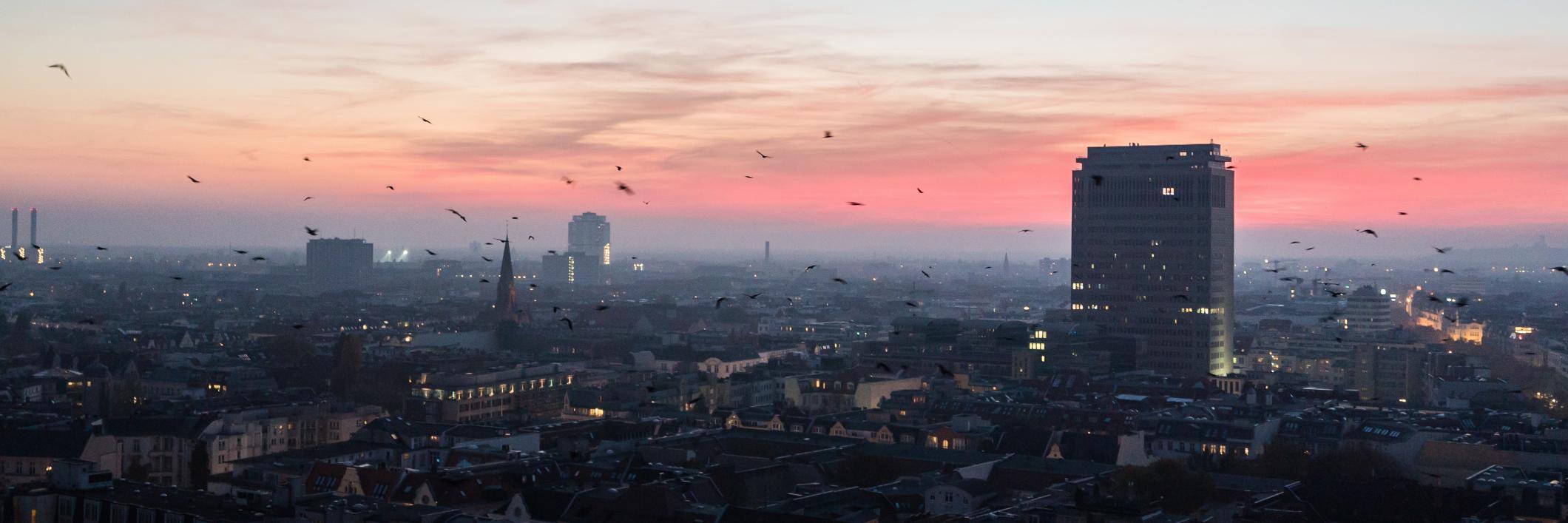 Michael Schulz banner