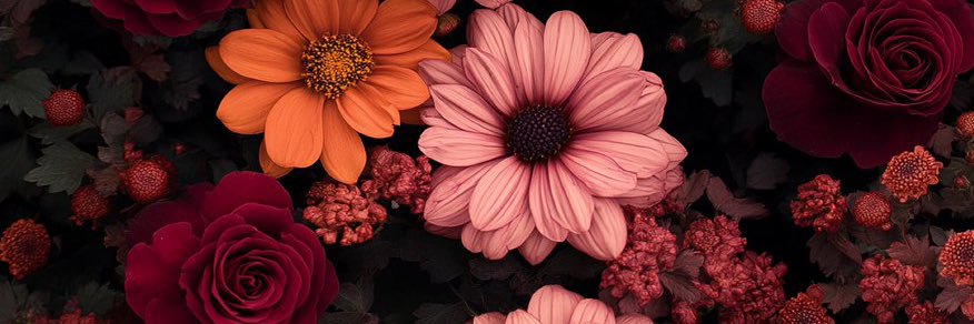 km_zdep's profile banner image