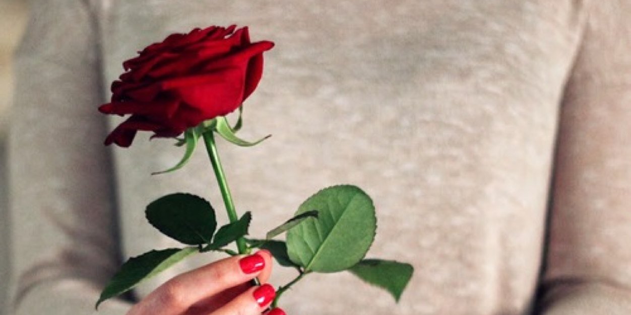 sarahcrln's profile banner image