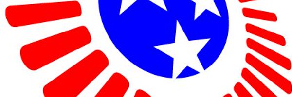 lisachambers Profile Banner