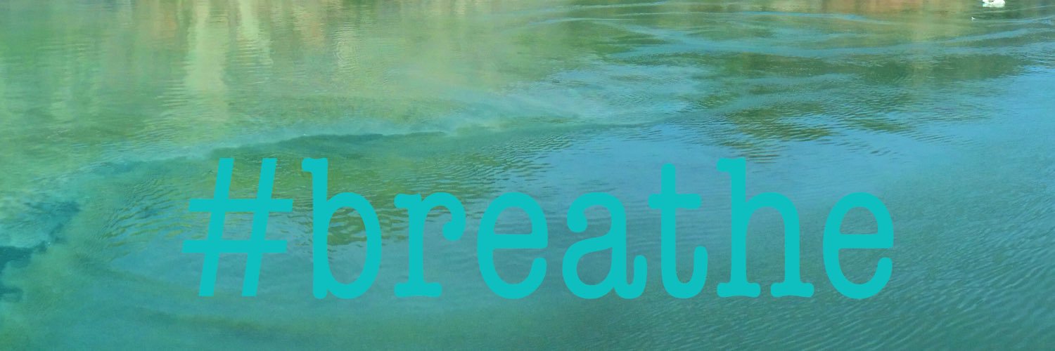 KimP_CA's profile banner image