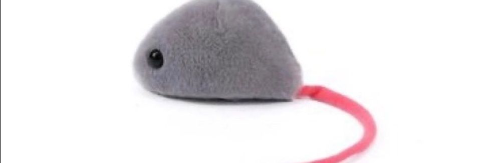 cheesed to meet you banner