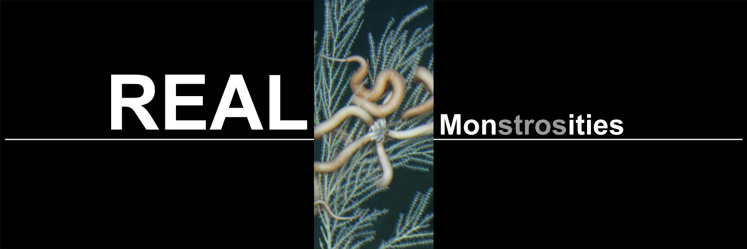 RealMonstrosity's profile banner image