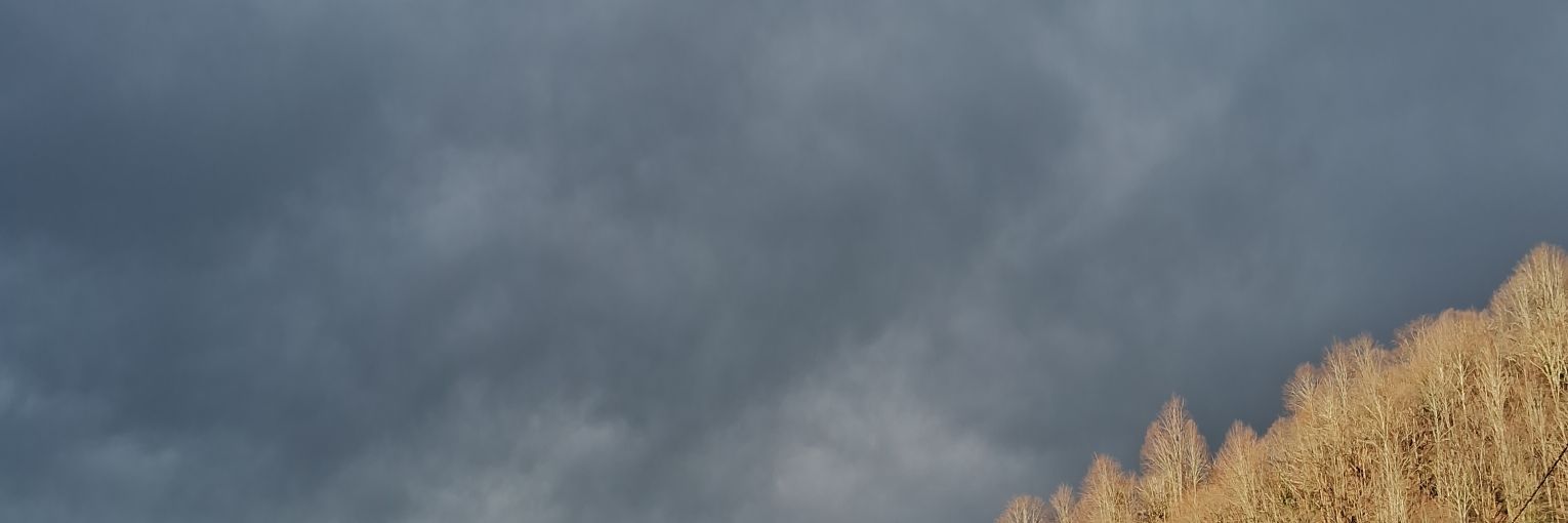 dooren banner
