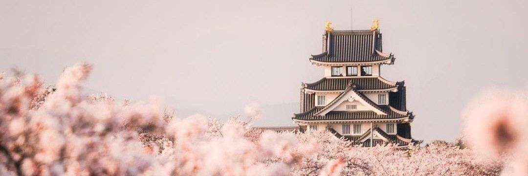 xxann89's profile banner image