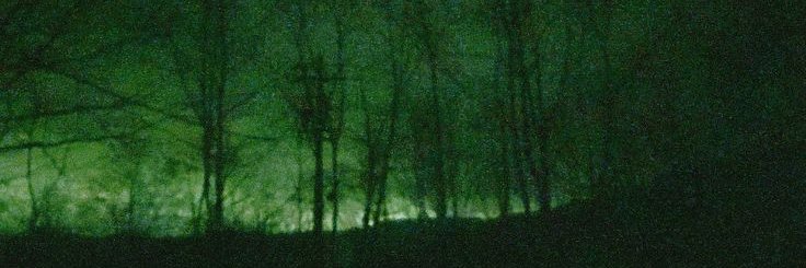 pomi/psi꩜｡ banner