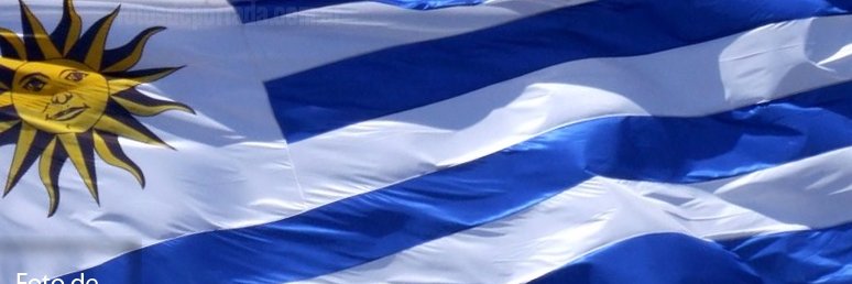 Martín Elgue #58194 banner