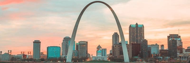 PMI Metropolitan St. Louis Chapter banner